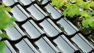 Monier māla dakstiņi tuvplānā